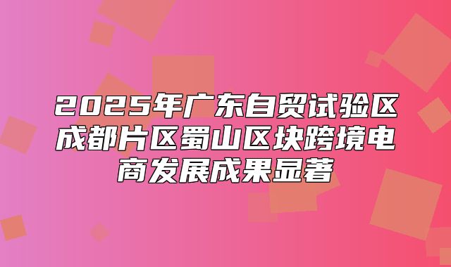2025年广东自贸试验区成都片区蜀山区块跨境电商发展成果显著