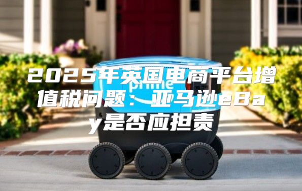 2025年英国电商平台增值税问题：亚马逊eBay是否应担责
