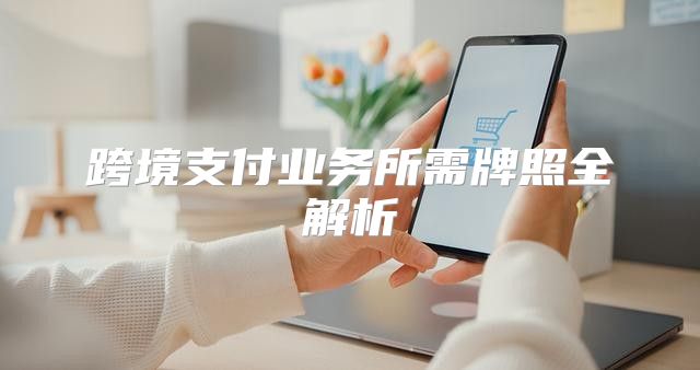 跨境支付业务所需牌照全解析