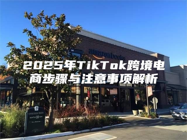 2025年TikTok跨境电商步骤与注意事项解析