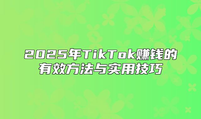 2025年TikTok赚钱的有效方法与实用技巧
