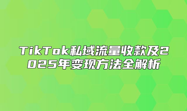 TikTok私域流量收款及2025年变现方法全解析