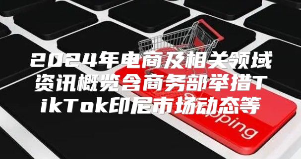 2025年电商及相关领域资讯概览含商务部举措TikTok印尼市场动态等
