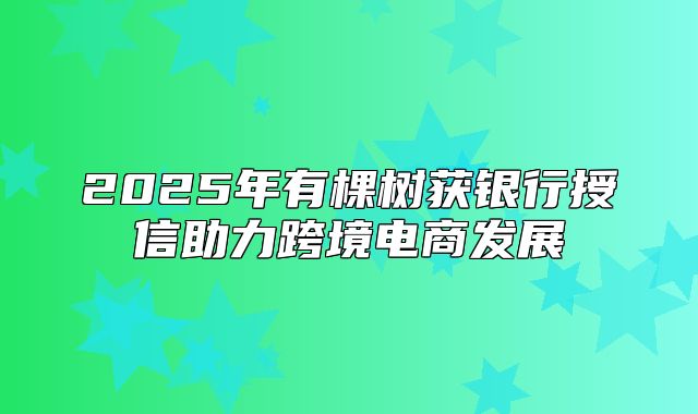 2025年有棵树获银行授信助力跨境电商发展
