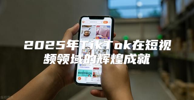 2025年TikTok在短视频领域的辉煌成就