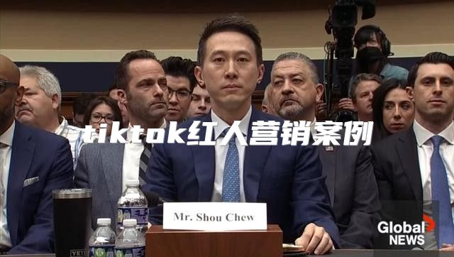 tiktok红人营销案例