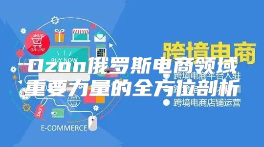 Ozon俄罗斯电商领域重要力量的全方位剖析