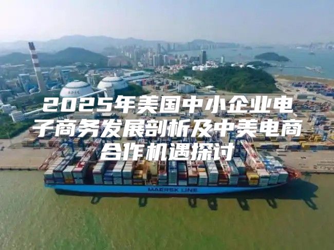 2025年美国中小企业电子商务发展剖析及中美电商合作机遇探讨