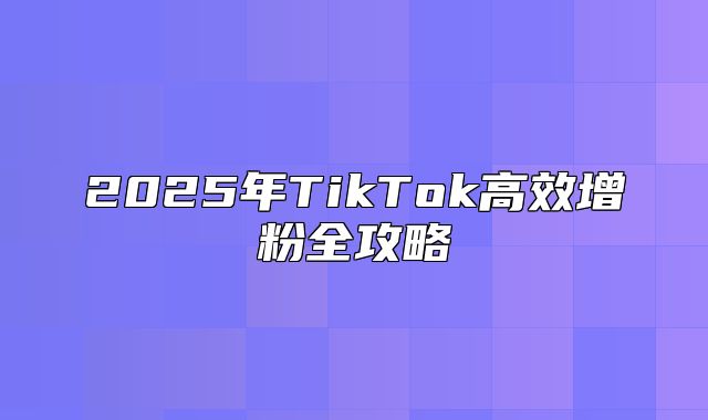 2025年TikTok高效增粉全攻略