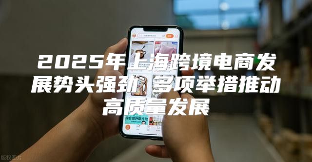 2025年上海跨境电商发展势头强劲 多项举措推动高质量发展