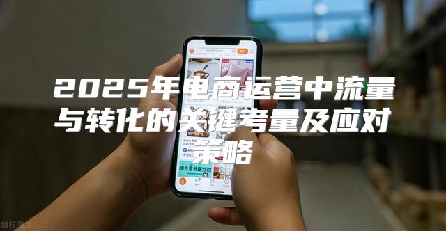 2025年电商运营中流量与转化的关键考量及应对策略
