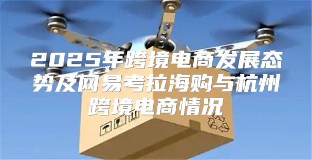 2025年跨境电商发展态势及网易考拉海购与杭州跨境电商情况