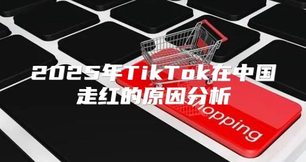 2025年TikTok在中国走红的原因分析