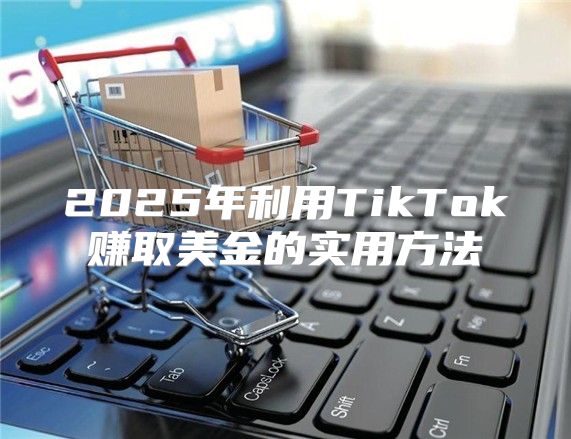 2025年利用TikTok赚取美金的实用方法