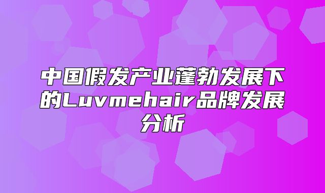 中国假发产业蓬勃发展下的Luvmehair品牌发展分析