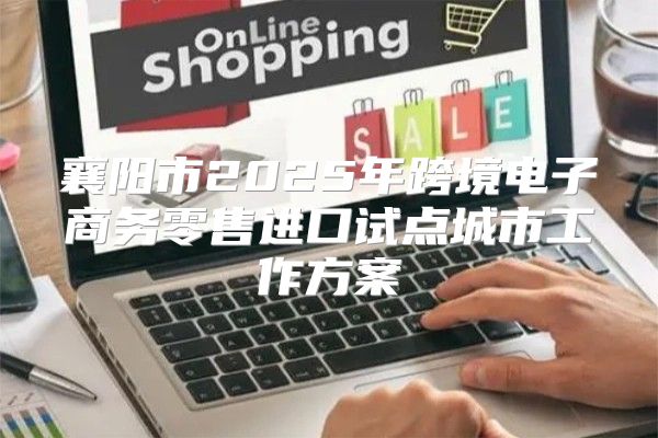 襄阳市2025年跨境电子商务零售进口试点城市工作方案