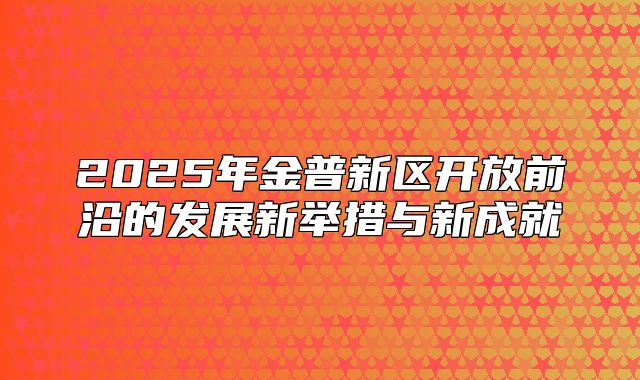 2025年金普新区开放前沿的发展新举措与新成就