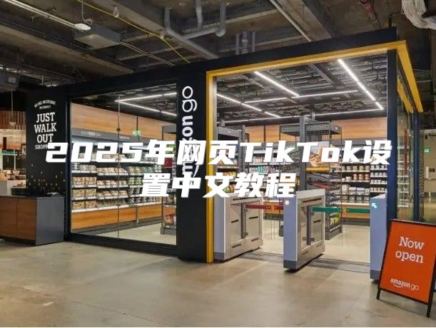 2025年网页TikTok设置中文教程