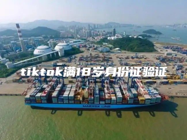 tiktok满18岁身份证验证