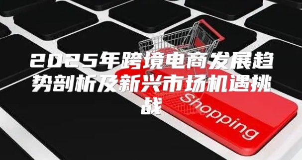 2025年跨境电商发展趋势剖析及新兴市场机遇挑战