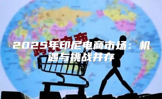 2025年印尼电商市场：机遇与挑战并存