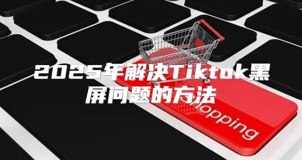 2025年解决Tiktok黑屏问题的方法