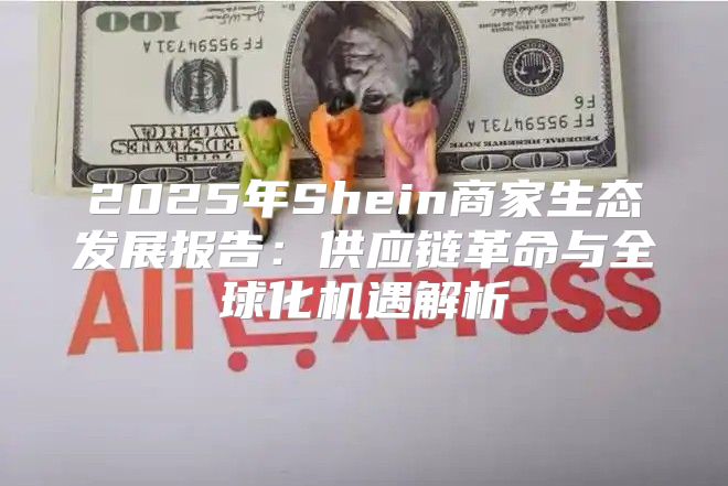 2025年Shein商家生态发展报告：供应链革命与全球化机遇解析