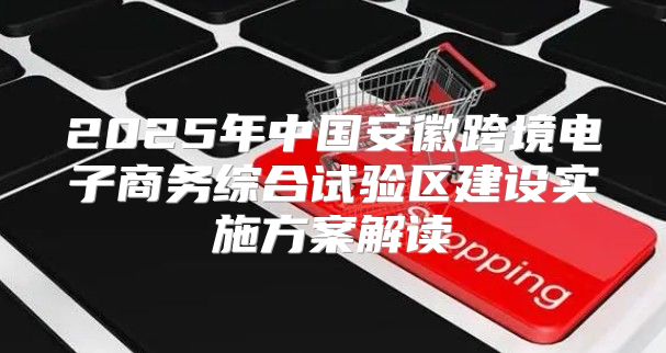 2025年中国安徽跨境电子商务综合试验区建设实施方案解读