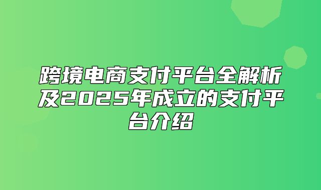跨境电商支付平台全解析及2025年成立的支付平台介绍