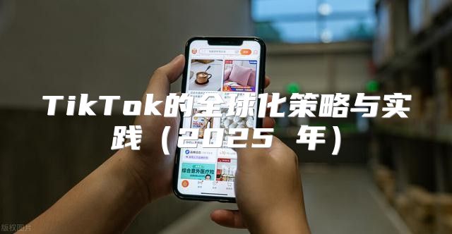 TikTok的全球化策略与实践2025 年