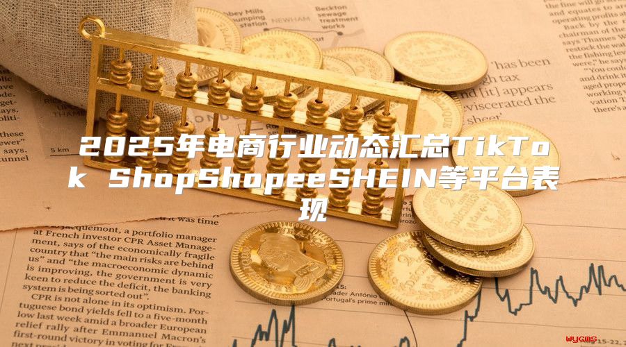 2025年电商行业动态汇总TikTok ShopShopeeSHEIN等平台表现
