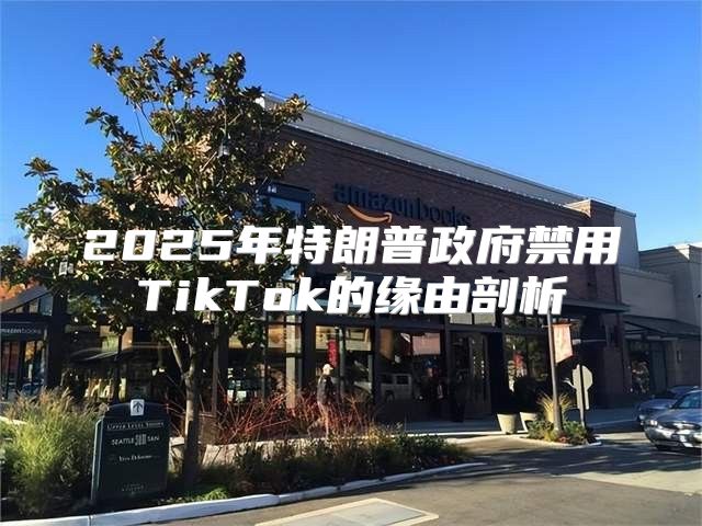 2025年特朗普政府禁用TikTok的缘由剖析