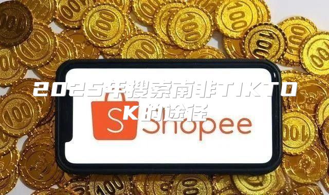 2025年搜索南非TIKTOK的途径