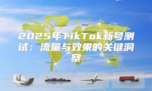 2025年TikTok新号测试：流量与效果的关键洞察