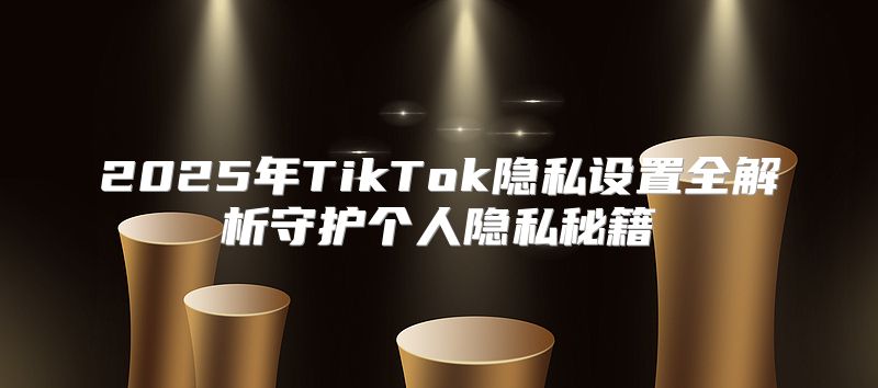 2025年TikTok隐私设置全解析守护个人隐私秘籍