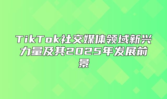 TikTok社交媒体领域新兴力量及其2025年发展前景