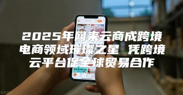 2025年网来云商成跨境电商领域璀璨之星 凭跨境云平台促全球贸易合作