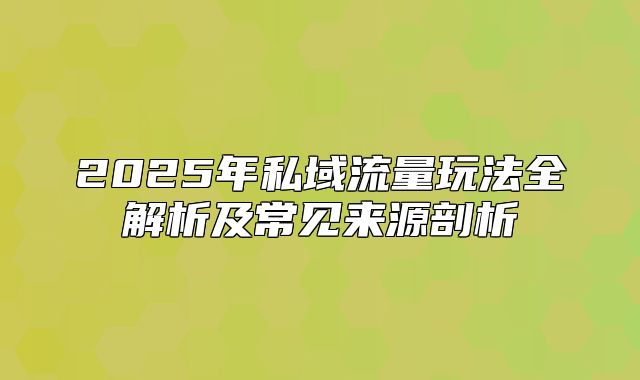 2025年私域流量玩法全解析及常见来源剖析