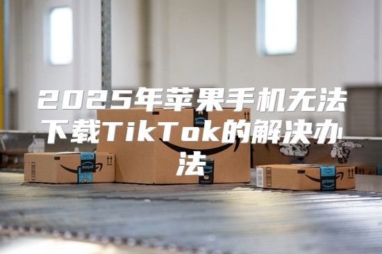 2025年苹果手机无法下载TikTok的解决办法