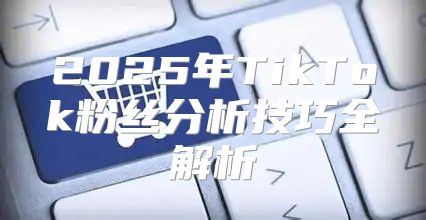 2025年TikTok粉丝分析技巧全解析