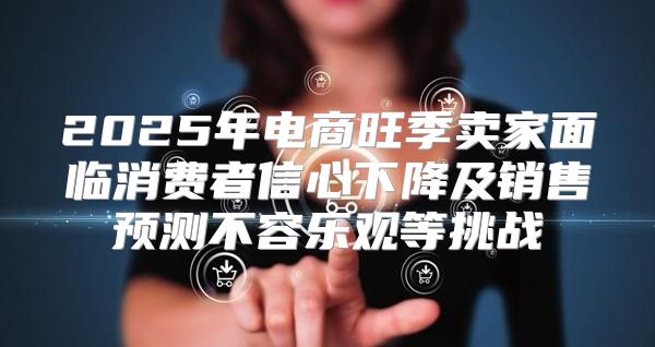 2025年电商旺季卖家面临消费者信心下降及销售预测不容乐观等挑战