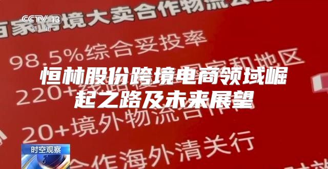恒林股份跨境电商领域崛起之路及未来展望