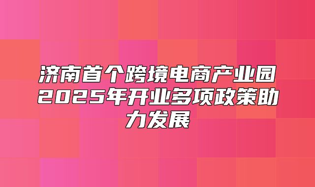 济南首个跨境电商产业园2025年开业多项政策助力发展