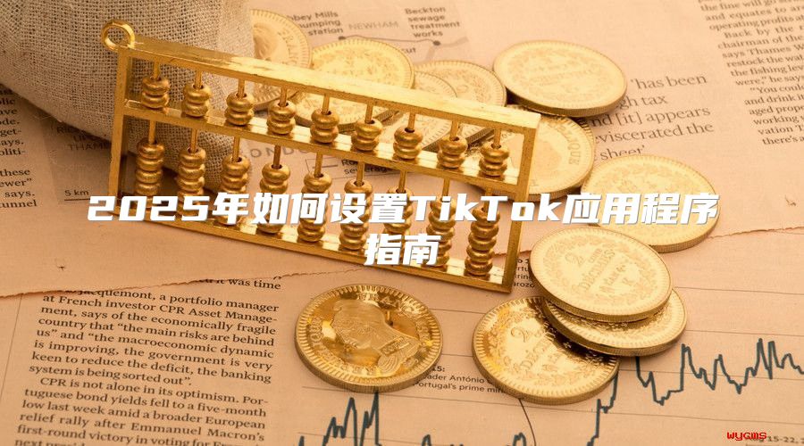 2025年如何设置TikTok应用程序指南