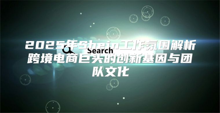 2025年Shein工作氛围解析跨境电商巨头的创新基因与团队文化