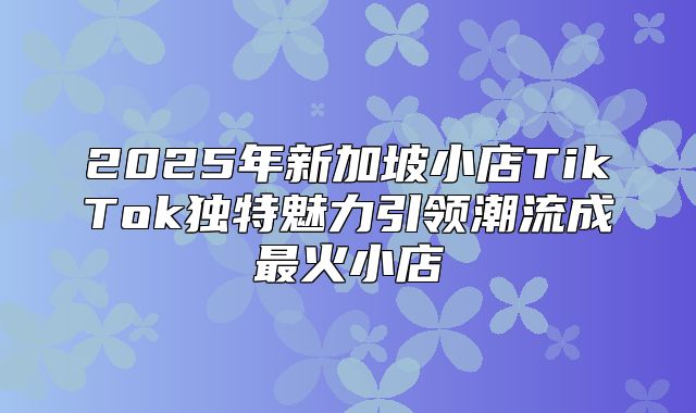 2025年新加坡小店TikTok独特魅力引领潮流成最火小店