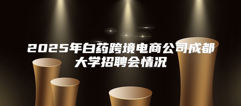 2025年白药跨境电商公司成都大学招聘会情况