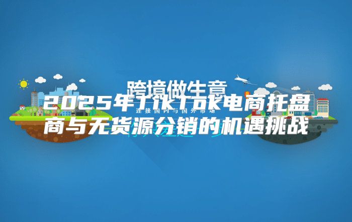 2025年TikTok电商托盘商与无货源分销的机遇挑战