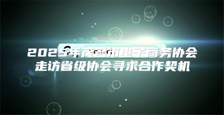 2025年茂名市电子商务协会走访省级协会寻求合作契机