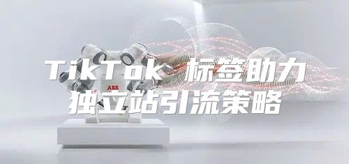TikTok 标签助力独立站引流策略